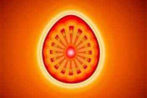shiv